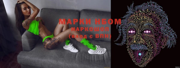 прущие грибы Аркадак