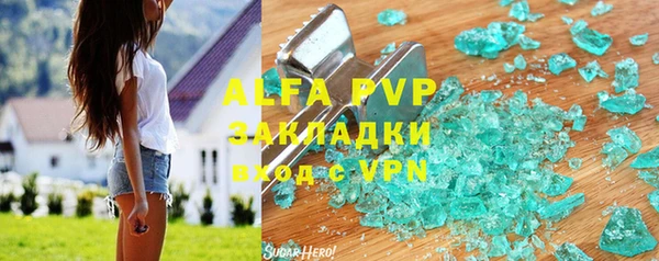 прущие грибы Аркадак