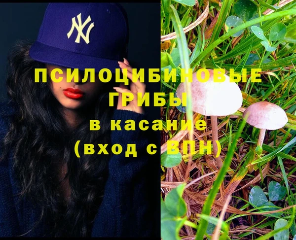 мет Балахна