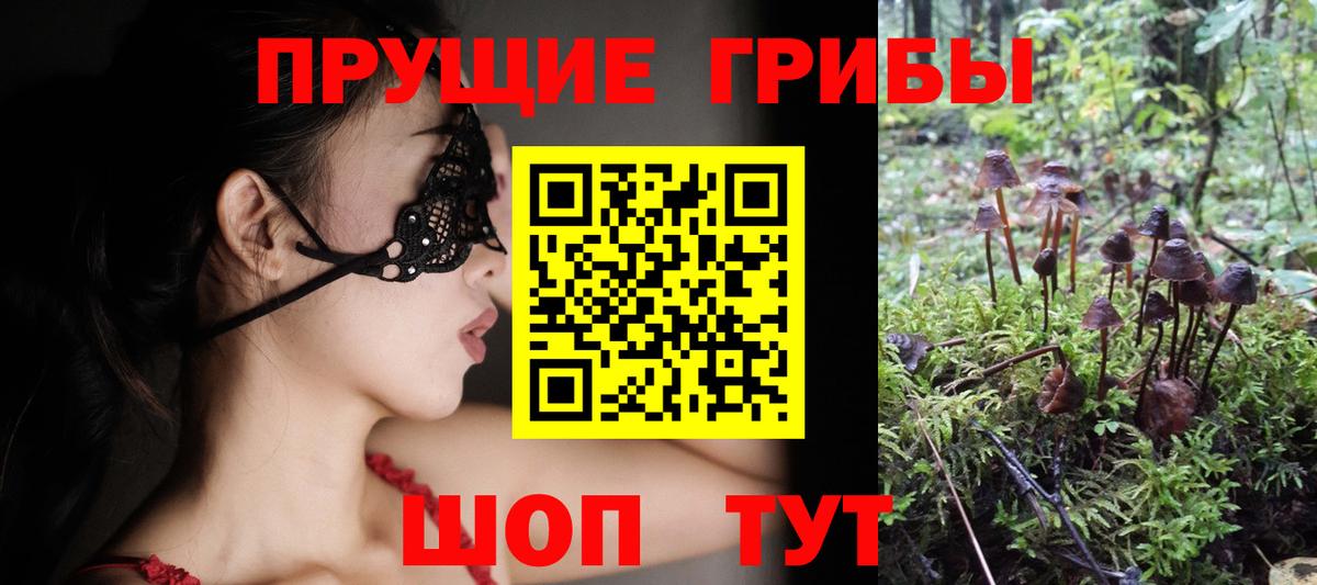 Псилоцибиновые грибы Magic Shrooms Егорьевск